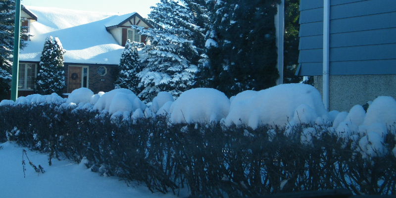 DSCF5919.JPG
