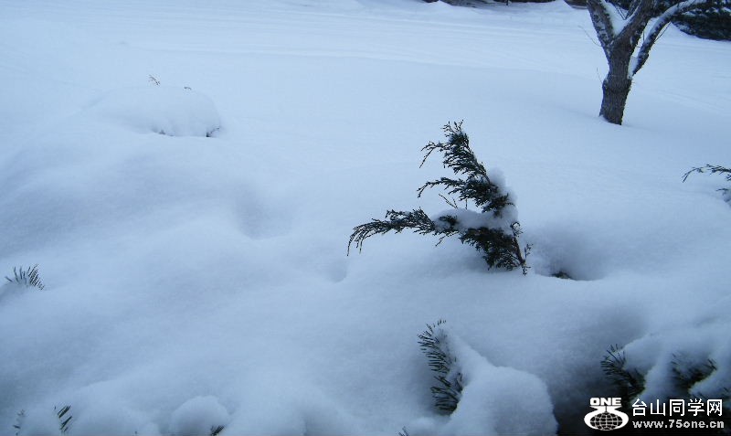 DSCF5932.JPG