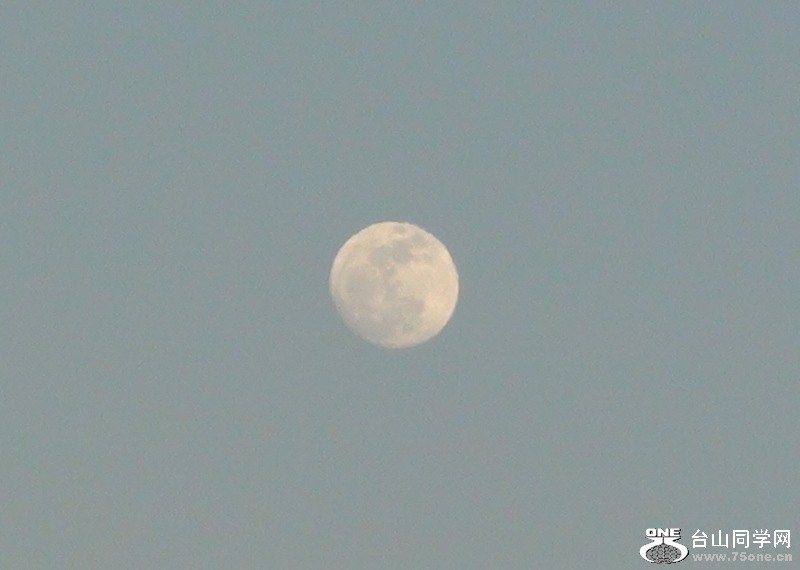 2011-02-16011 (800x570).jpg