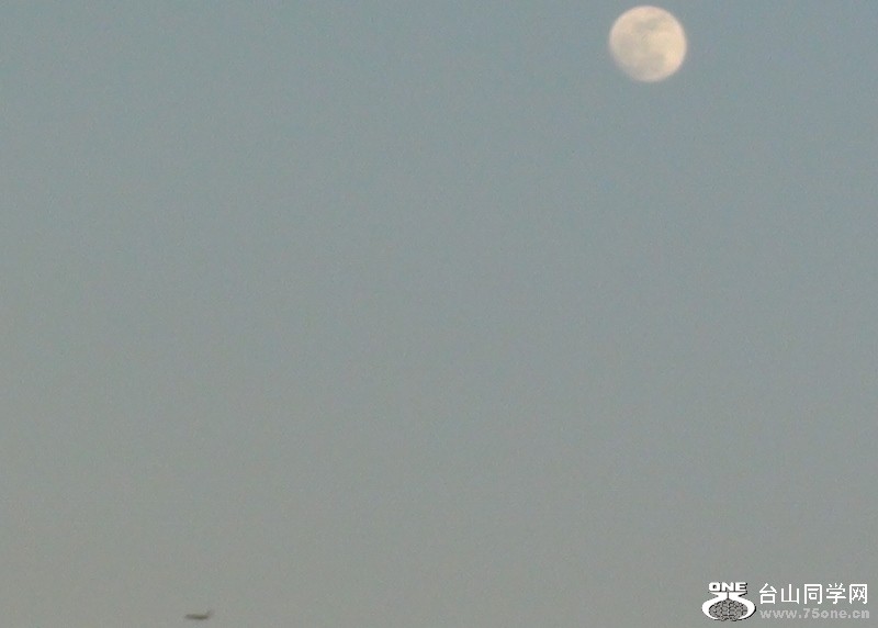 2011-02-16012 (800x572).jpg