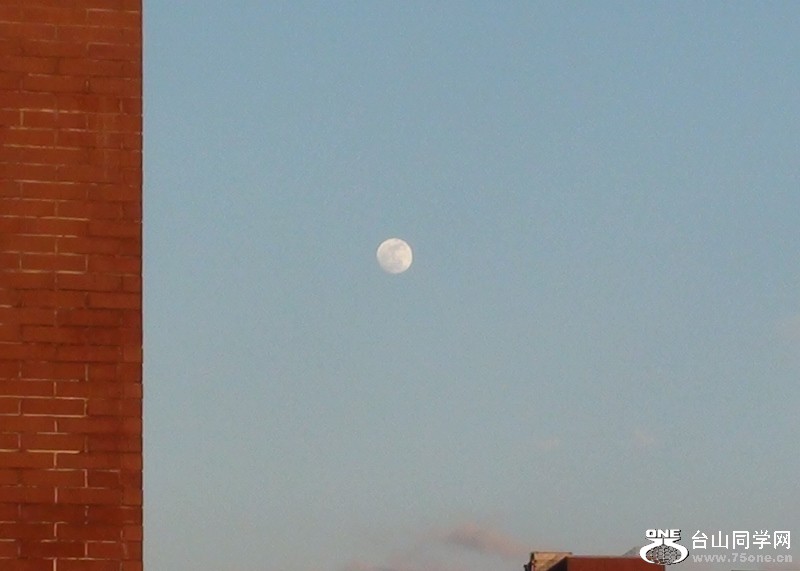 2011-02-16013 (800x571).jpg