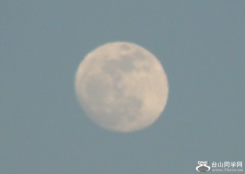 2011-02-16009 (800x571).jpg