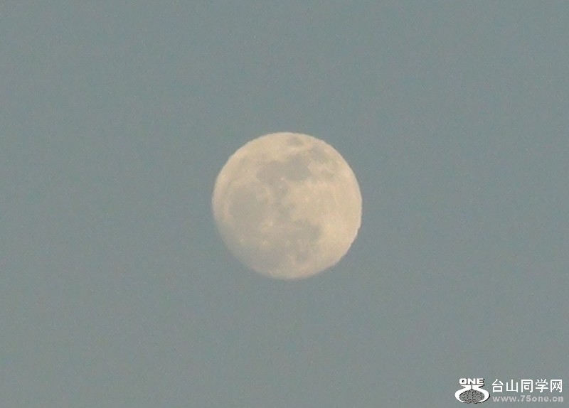 2011-02-16010 (800x574).jpg