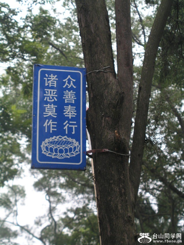 P1010059.JPG