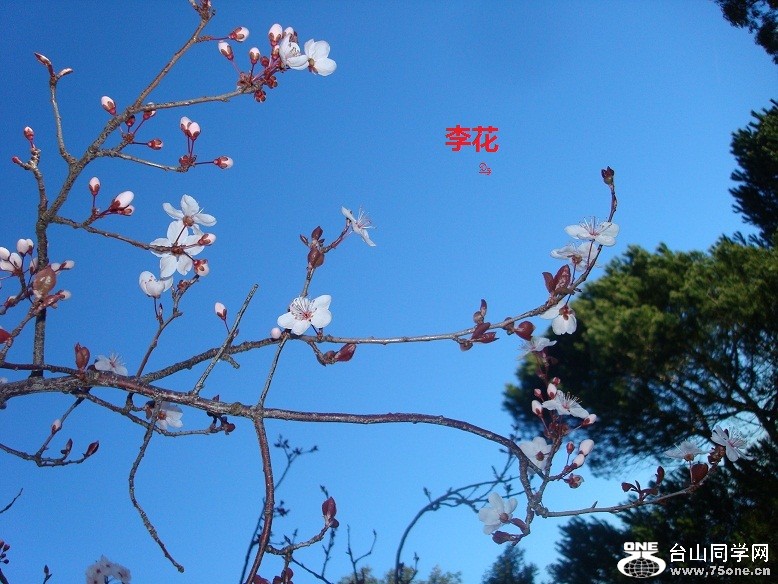 DSC07045d.jpg