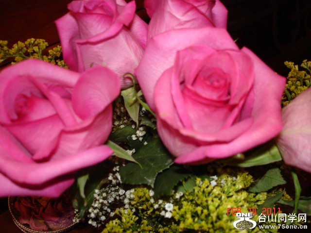 2011214 012.jpg