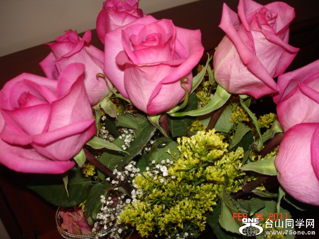 2011214 013.jpg