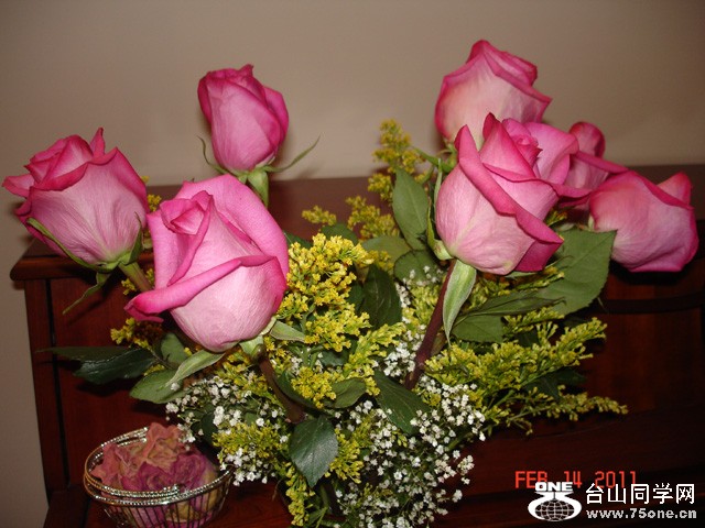 2011214 007.jpg