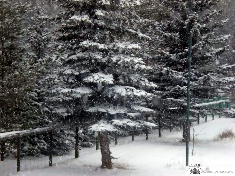 Ƭ 060.jpg