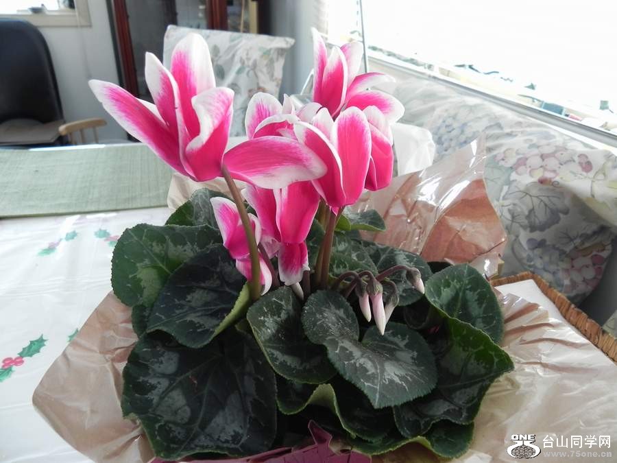 2010 090.jpg
