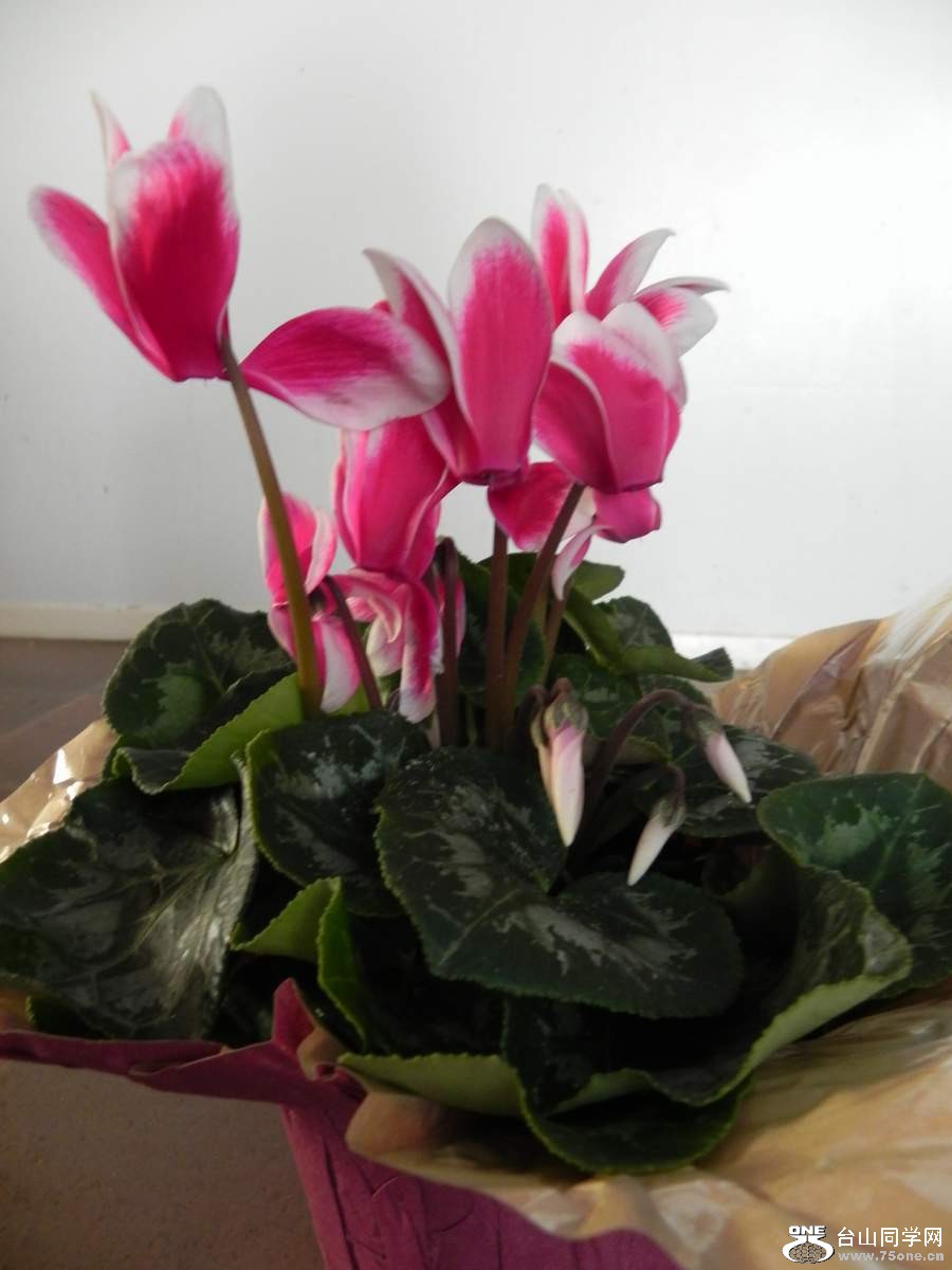 2010 093.jpg