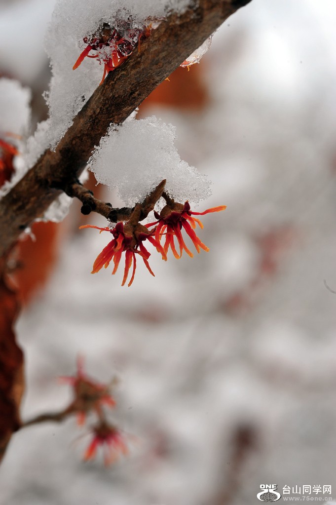 DSC_5488.jpg