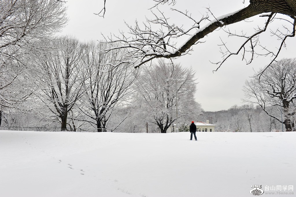 DSC_5026.jpg