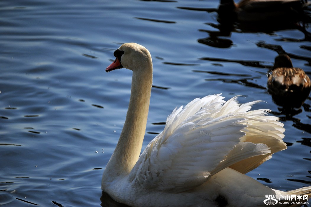 DSC_4050.jpg