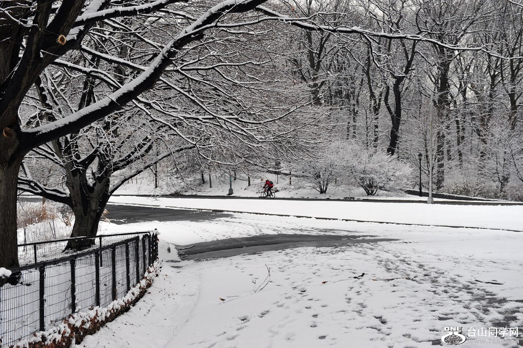 DSC_5409.jpg
