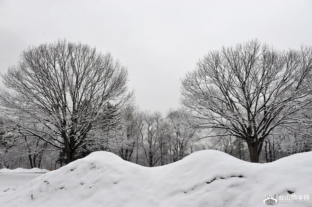 DSC_5082.jpg