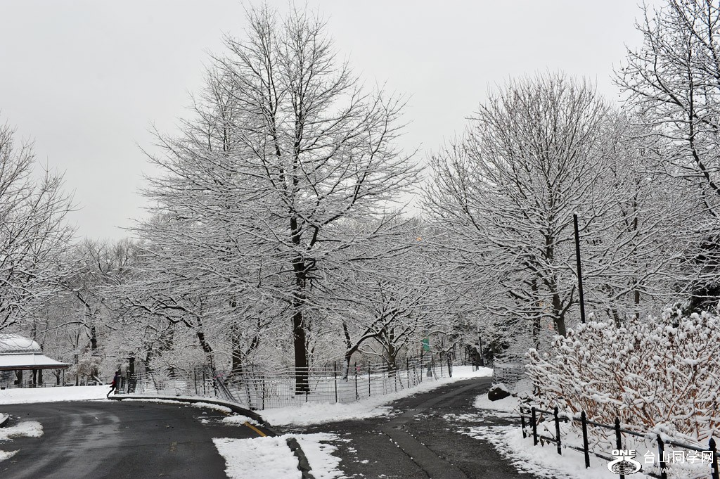 DSC_5018.jpg