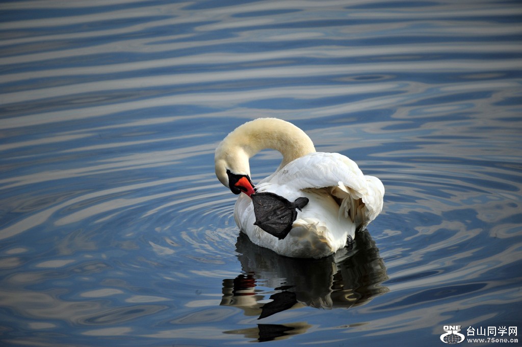 DSC_4023.jpg