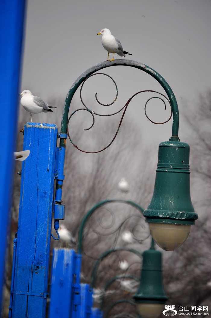 DSC_3926.jpg