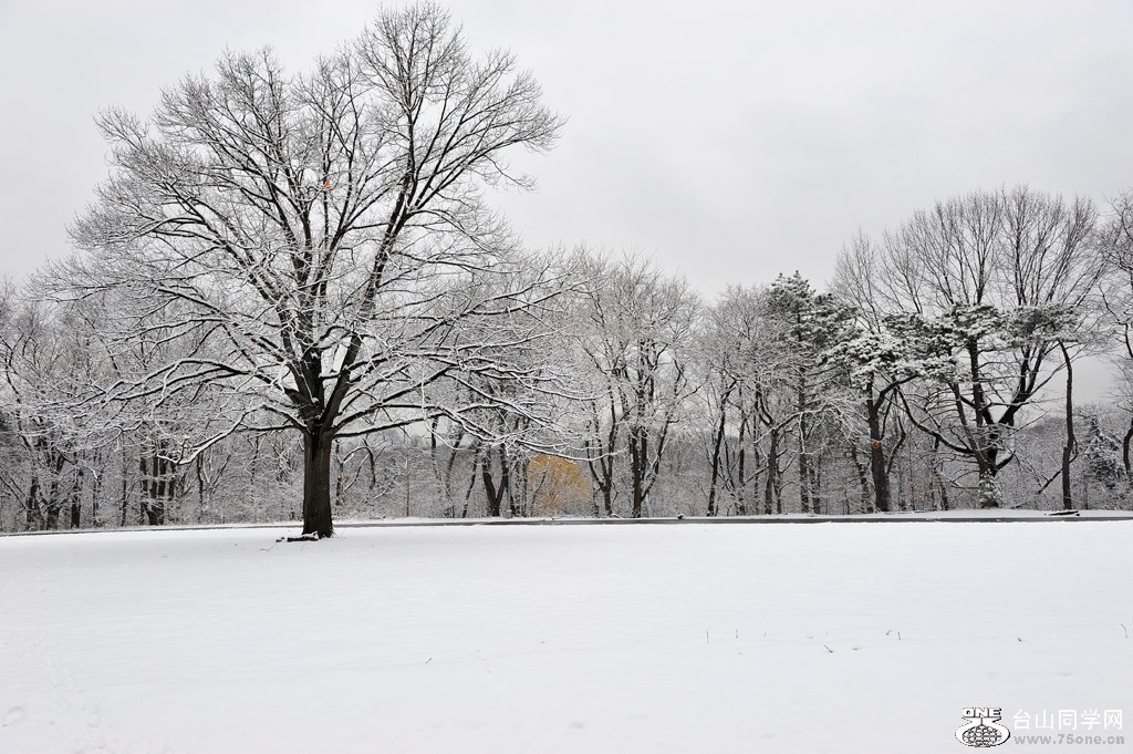 DSC_5070.jpg