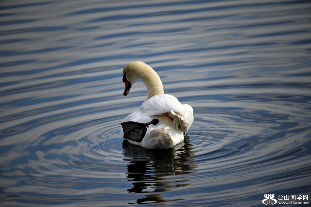 DSC_4029.jpg