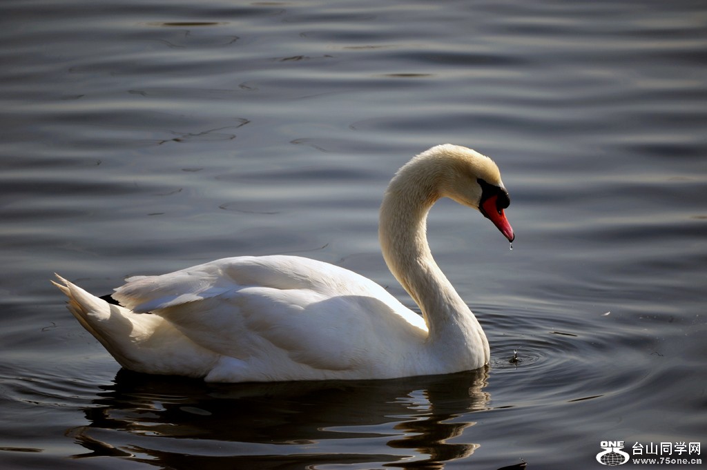 DSC_4143.jpg
