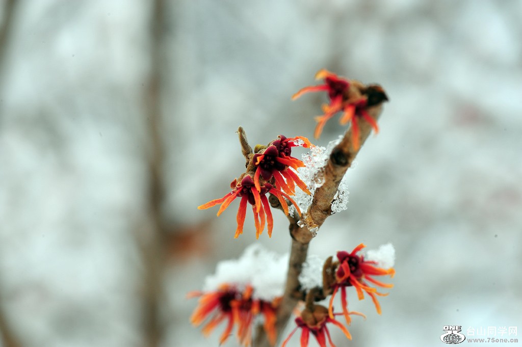 DSC_5482.jpg
