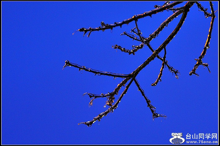 DSC_3409.JPG