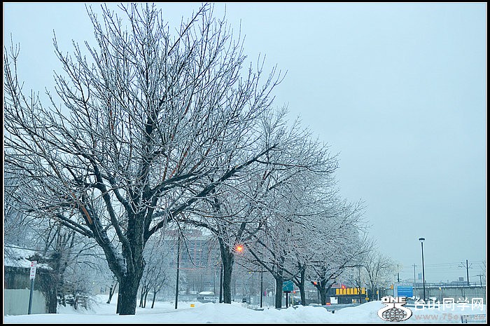 DSC_3635.JPG