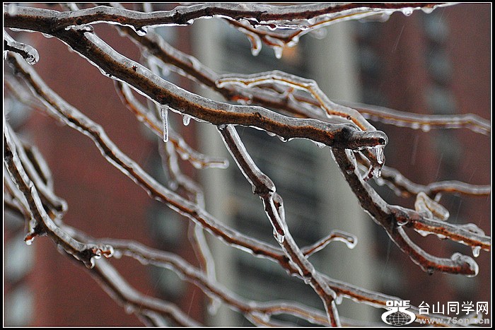 DSC_3528.JPG