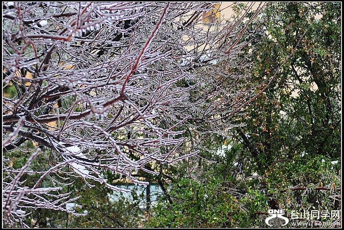 DSC_3486.JPG