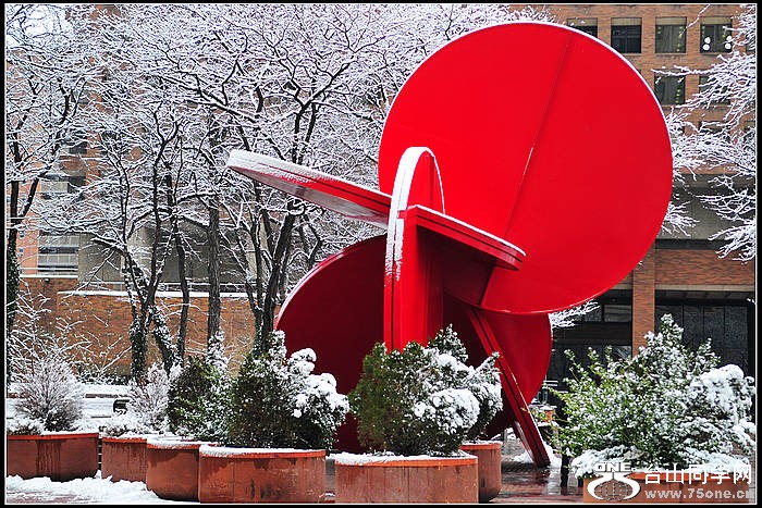 DSC_7065.JPG