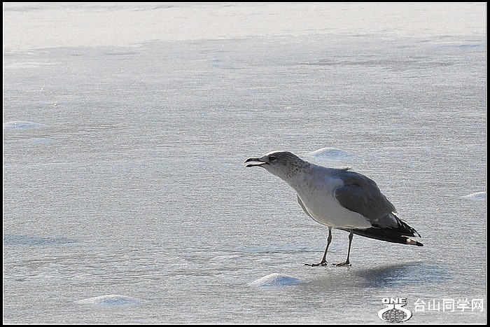 DSC_8406.JPG