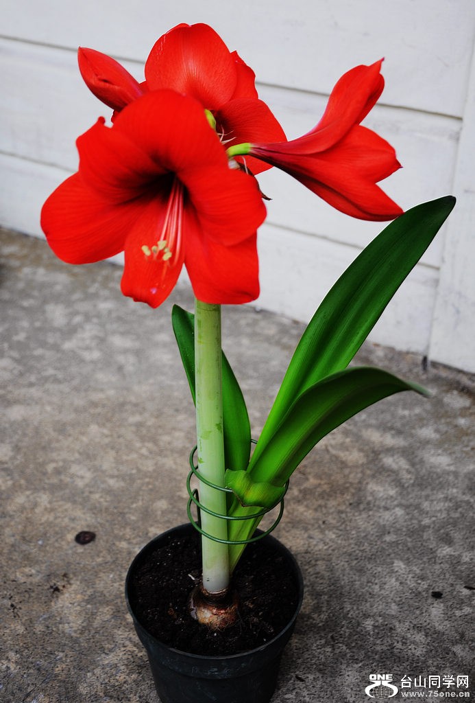 DSC_3040.jpg