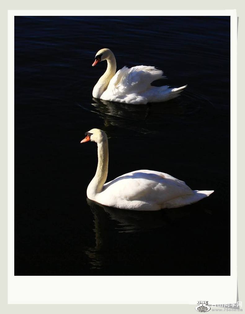 }u -IMG_1314aa.jpg