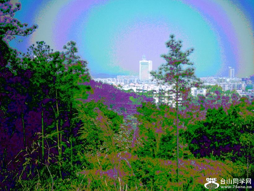 DSC_0139.JPG