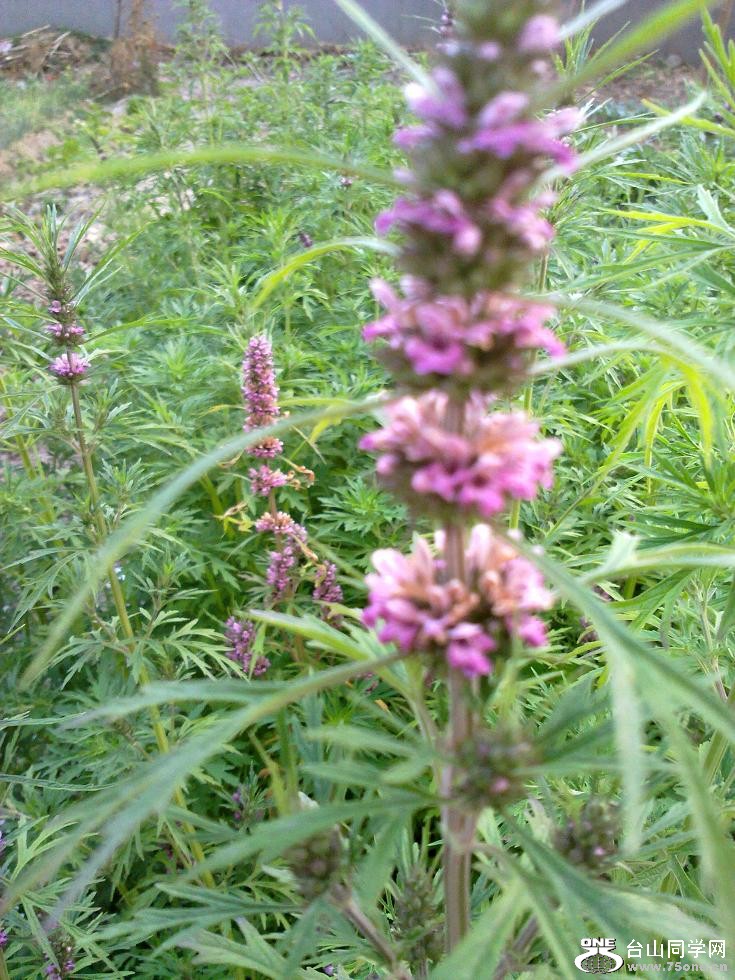 20110210422.jpg