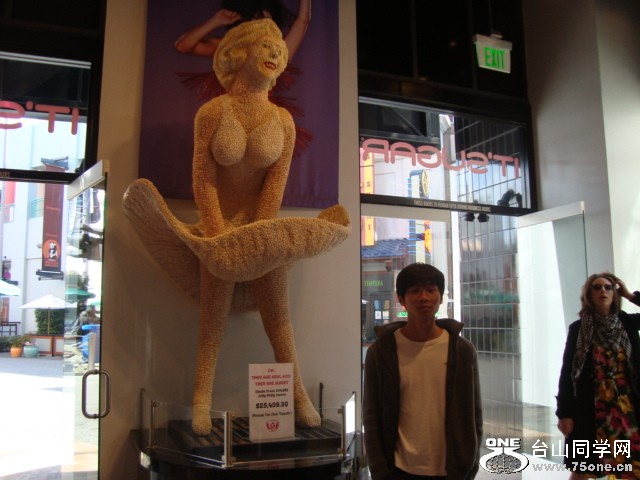 DSC08505.JPG