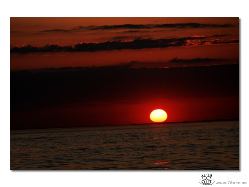 IMG_8876a.jpg