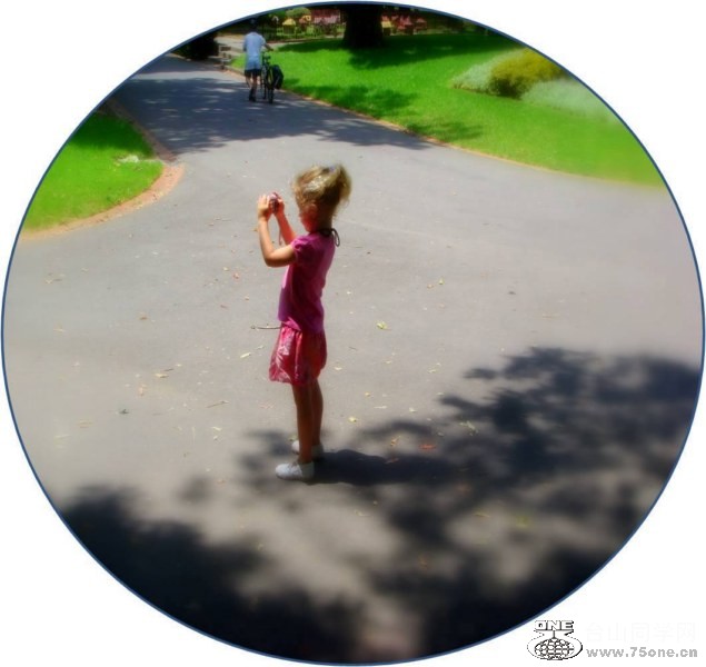 Picture2 [800x600].jpg