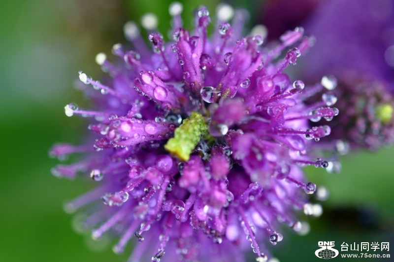 _CSC0252 [800x600] (2).jpg