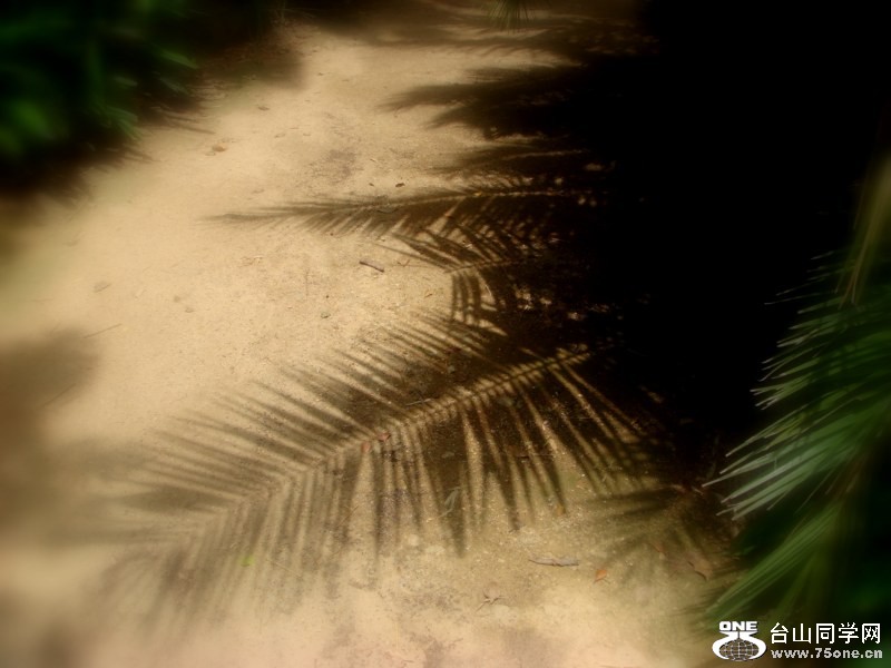 DSC06734 [800x600].jpg