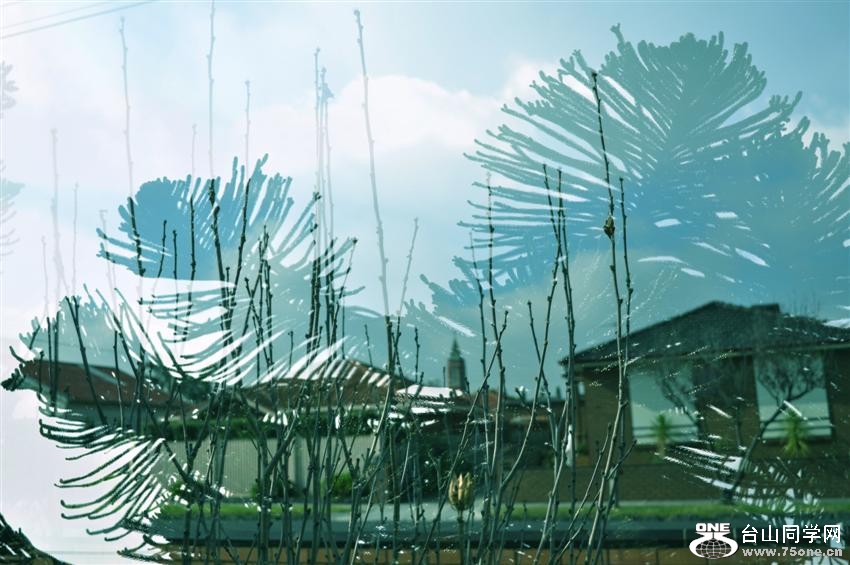 CSC_6220 (Custom) (2).jpg