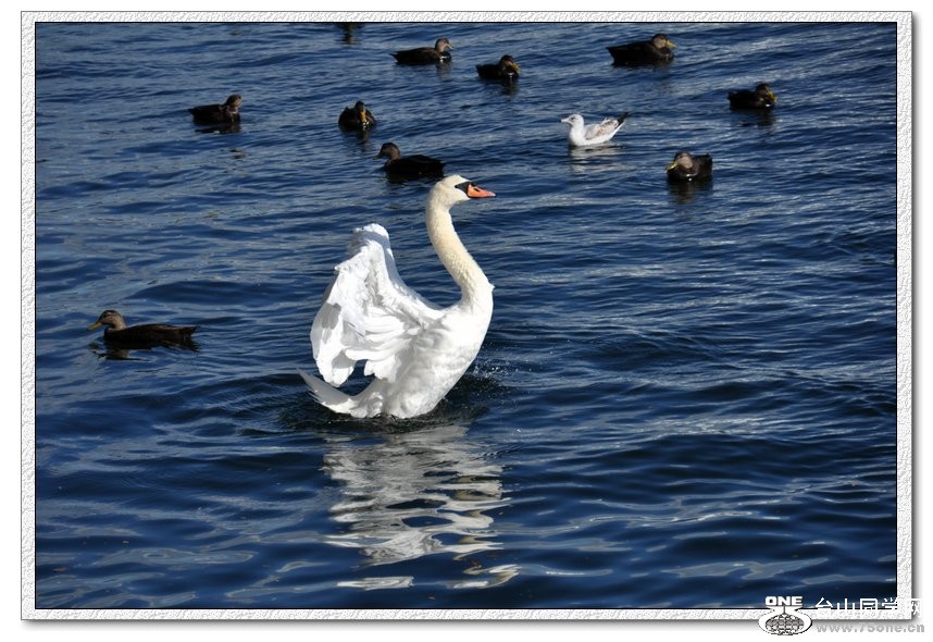 DSC_0049--a.jpg