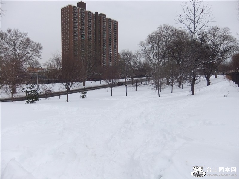 DSCF1266.jpg