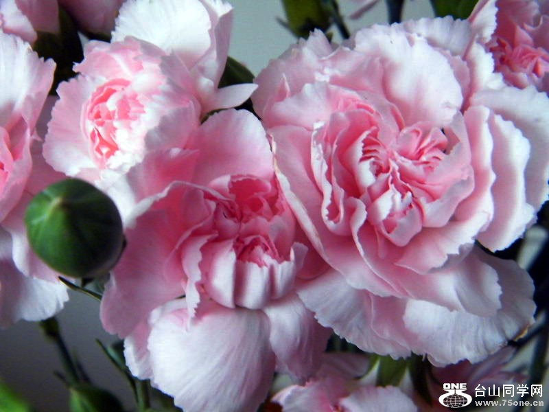 DSCF6370.JPG