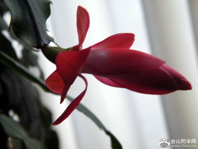 DSCF6165.JPG