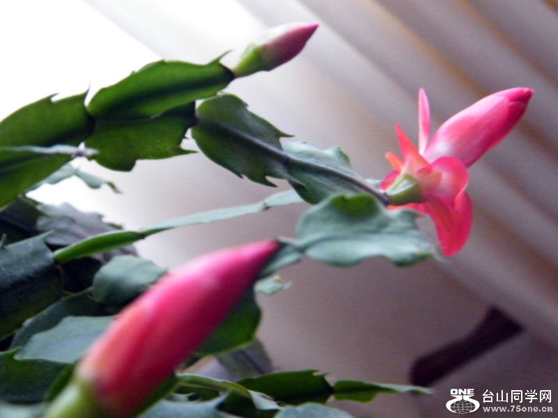 DSCF6168.JPG