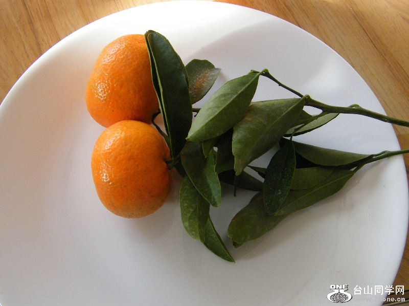 DSCF6327.JPG