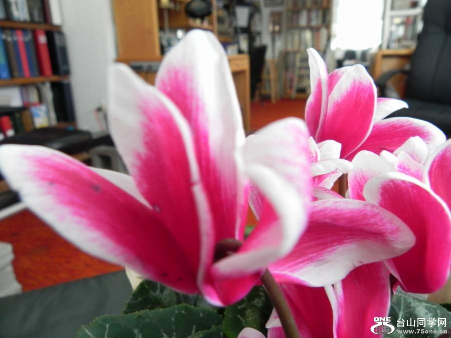 2010 1458.jpg